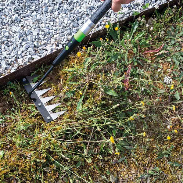 RATEAU DE DESHERBAGE 6 DENTS (2)