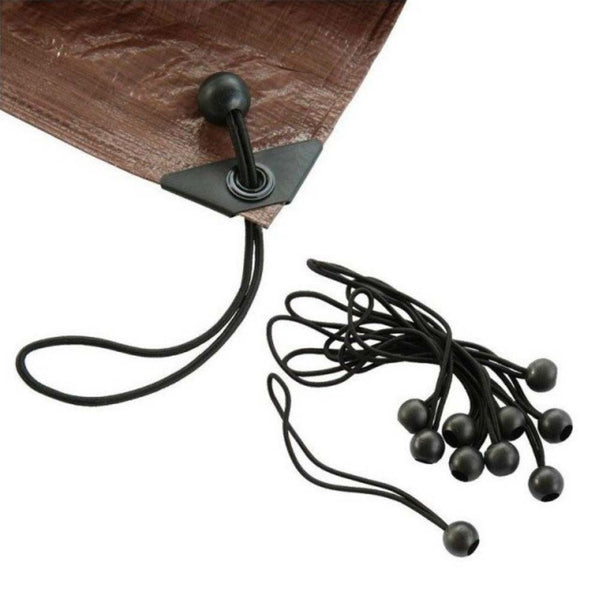 SANDOWS EXPRESS X10 (3)