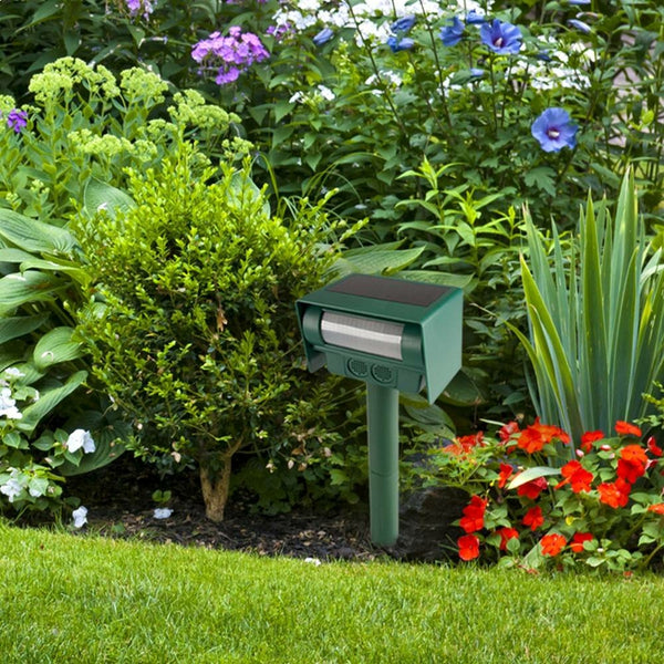 BORNE ANTI-NUISIBLE SOLAIRE (5)