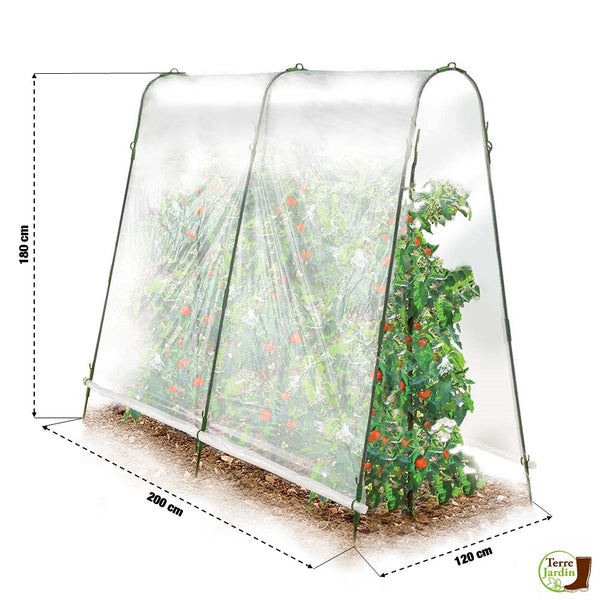 SERRE À TOMATES, Lot de 2 (1)