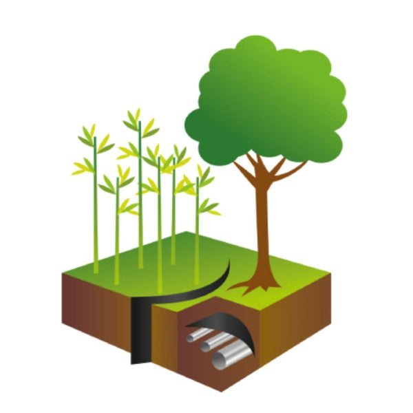 BARRIÈRE STOP RACINE (7)