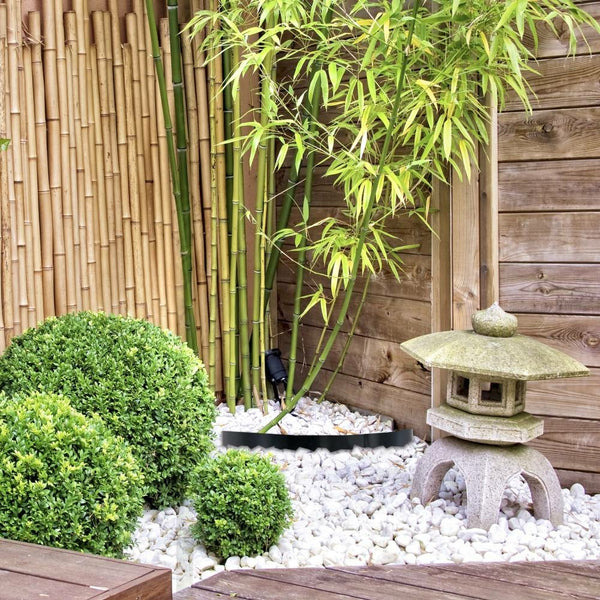 BARRIÈRE STOP RACINE (6)