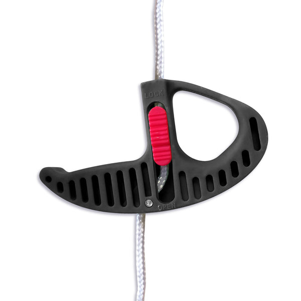 ÉCHENILLOR À CRÉMAILLÈRE (3)