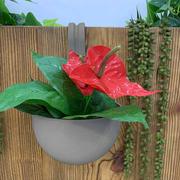 JARDINIÈRE À SUSPENDRE (9)