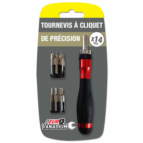 TOURNEVIS À CLIQUET DE PRÉCISION (1)