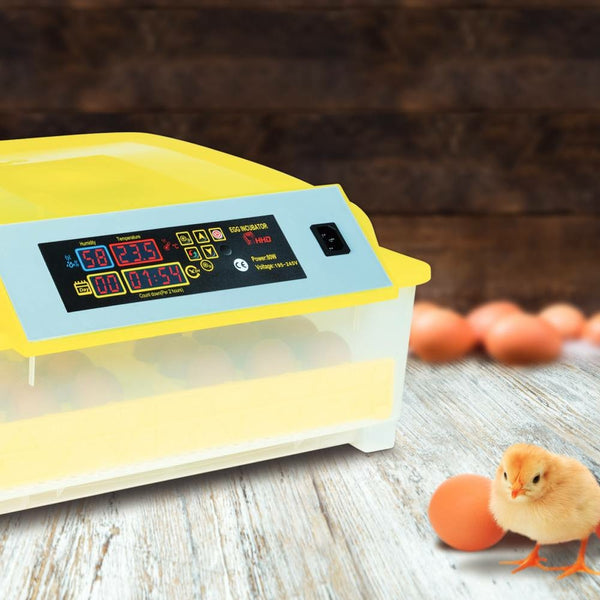 COUVEUSE AUTOMATIQUE 48 ŒUFS (5)