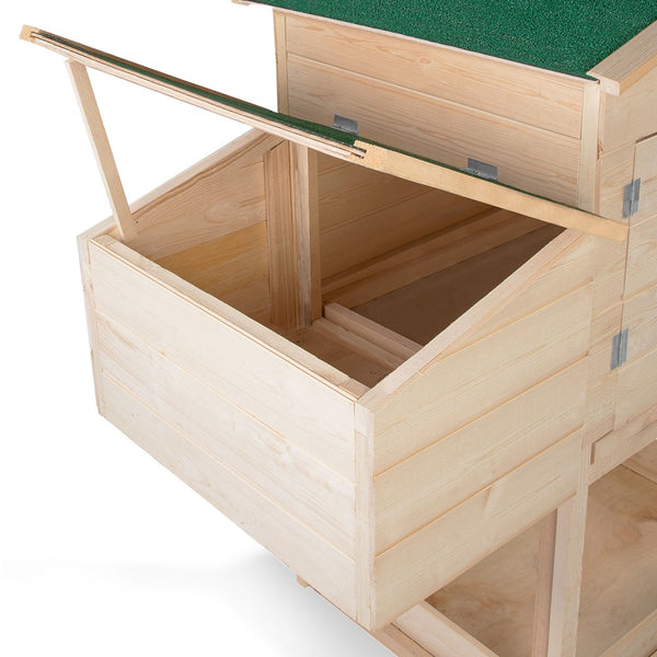 POULAILLER 2-3 POULES ÉVOLUTION (4)