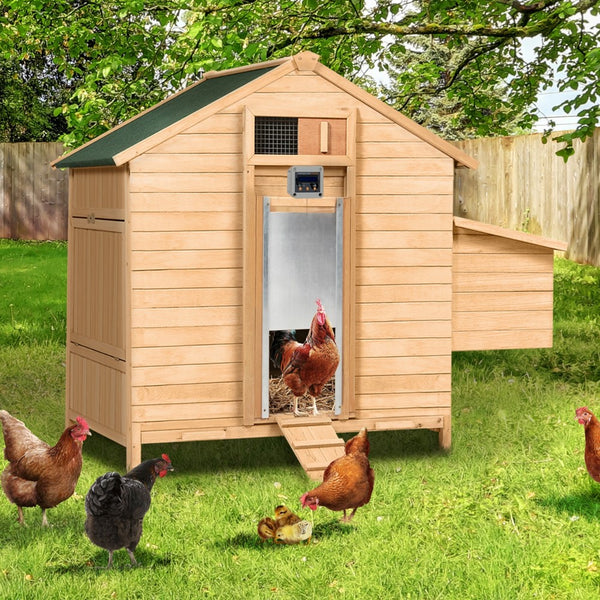 PORTE POULAILLER AUTOMATIQUE PROGRAMMABLE (5)