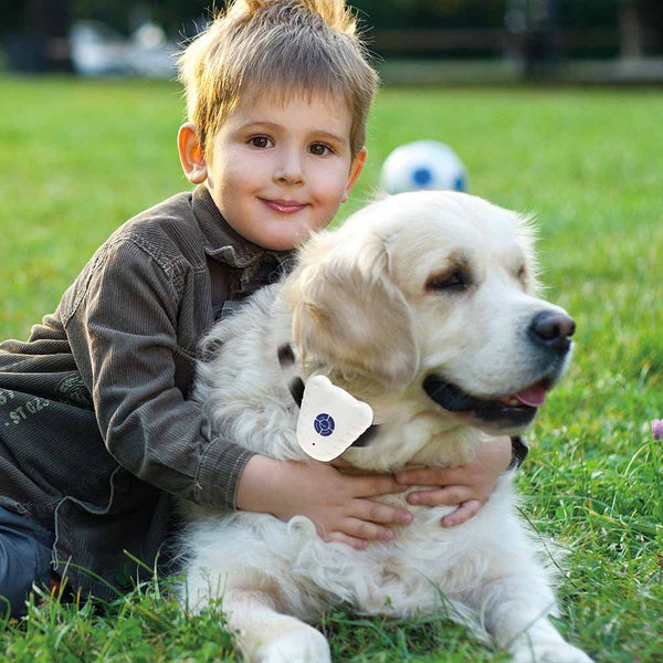 COLLIER ANTI-ABOIEMENTS (2)