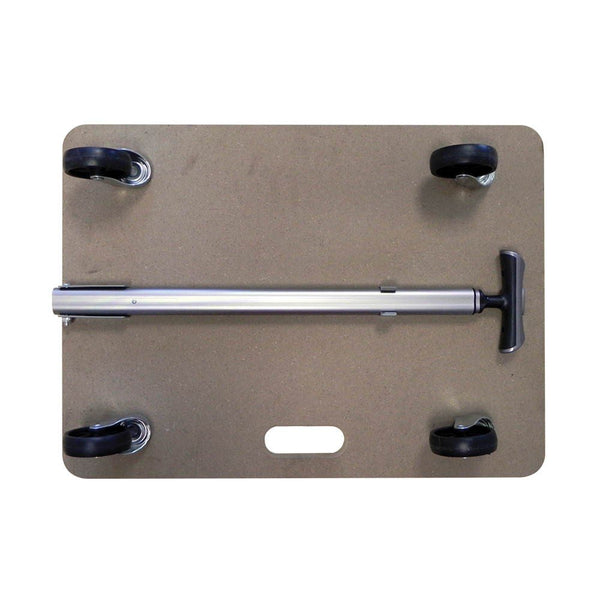 CHARIOT MULTIUSAGE AVEC MANCHE (1)