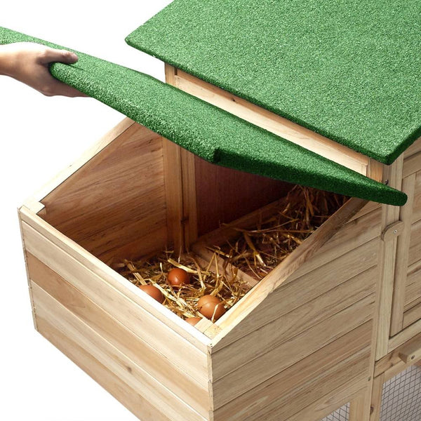 POULAILLER 2-3 POULES (7)