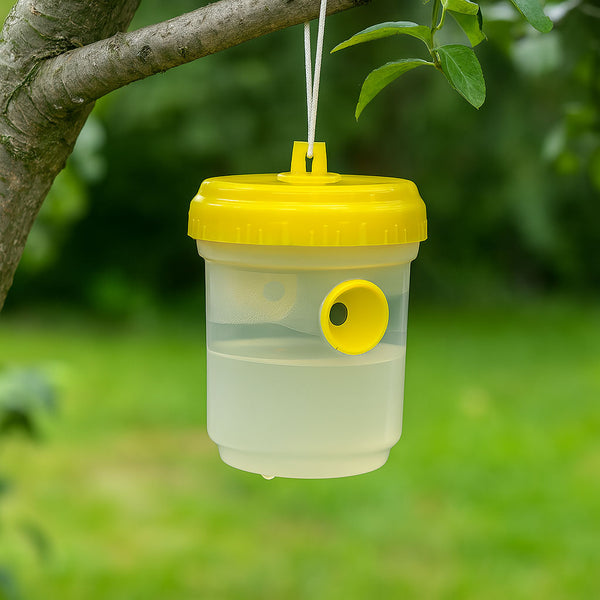 PIÈGE À INSECTES AVEC RÉSERVOIR (2)