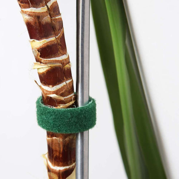 SANGLE AUTO-AGRIPPANTE VERTE 5M (2)