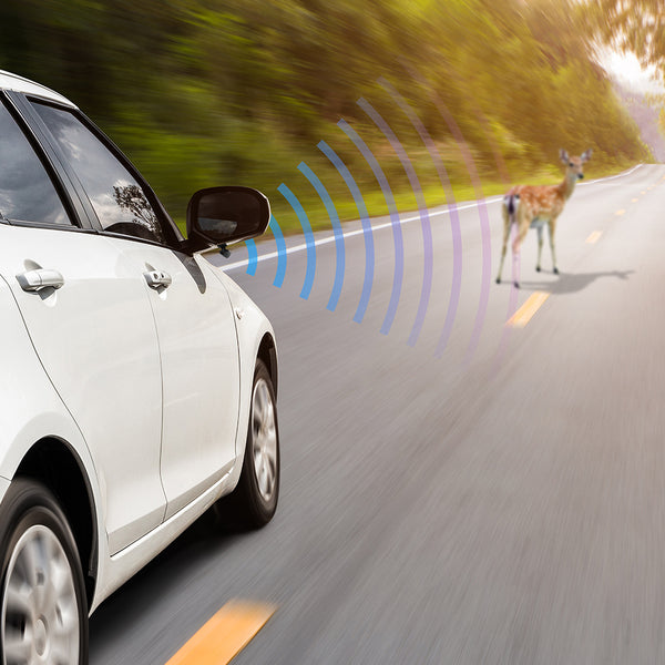 SIFFLETS ULTRASONS AUTO X4 (2)