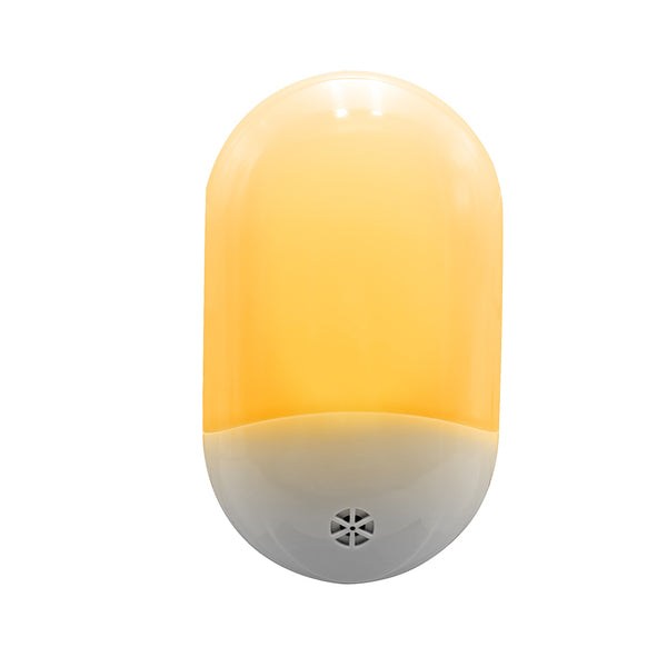 VEILLEUSE AVEC SENSOR 240V (2)