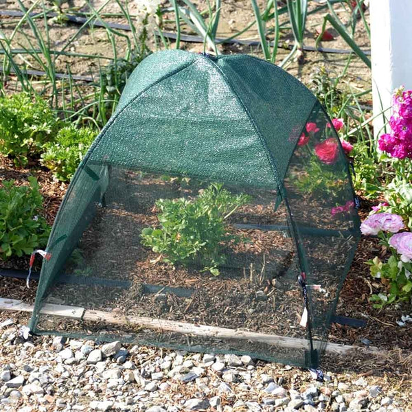 SERRE ANTI-INSECTE POUR CARRÉ POTAGER (2)