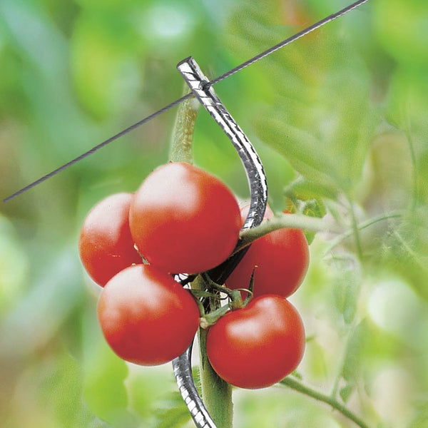 TUTEURS À TOMATES AVEC CHAS X20 (2)