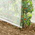 files/3331-serre-tomates-zoom1_97292ef6-c0f4-4e0f-9612-96c05935cd1f.jpg