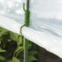 files/3331-serre-tomates-zoom2_231115ae-56fd-4343-9949-651d293d6a87.jpg