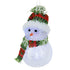files/3868_BONHOMME-NEIGE-LED-bonnet-vert-rouge-packshot-web.jpg