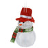files/3868_BONHOMME-NEIGE-LED-chapeau-rouge-packshot-web.jpg