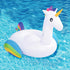 files/6122-bouee-geante-licorne-situation.jpg