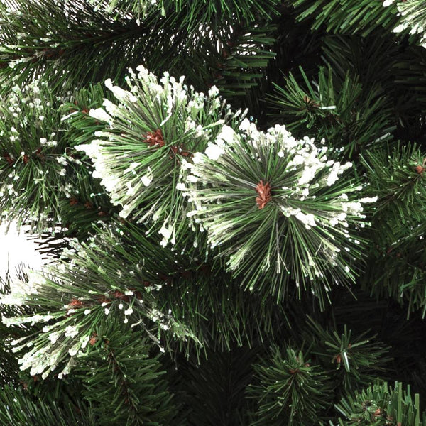 SAPIN GRACIOUS IMPERIAL (1)