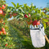 files/70214_CUEILLE_FRUIT_montage_situation_verger_pommier_WEB.jpg