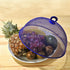 files/71583-cloche-anti-insectes-situation.jpg