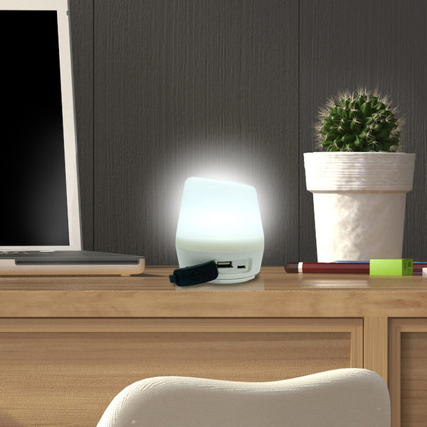 LAMPE SOLAIRE D’APPOINT AVEC BATTERIE (2)