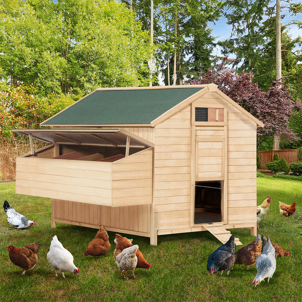 POULAILLER CHALET 10-12 POULES AVEC PONDOIRS (4)