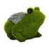 files/727520_GRENOUILLE_MINIATURE_GAZON_SOURCIDYS_40050165_ANIMAUX_MINIATURES_GRENOUILLE_packshot_WEB.jpg