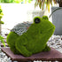 files/727520_GRENOUILLE_MINIATURE_GAZON_SOURCIDYS_40050165_ANIMAUX_MINIATURES_GRENOUILLE_situation_WEB.jpg