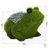 files/727520_GRENOUILLE_MINIATURE_GAZON_SOURCIDYS_dimensions.jpg