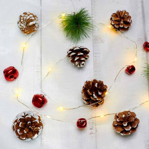 GUIRLANDE POMME DE PIN LED (1)