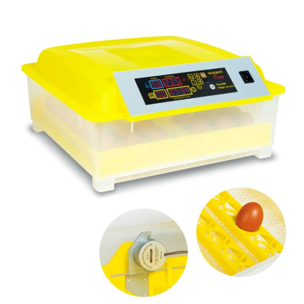 COUVEUSE AUTOMATIQUE 48 ŒUFS (3)