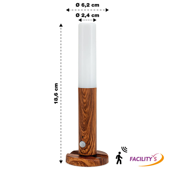 LAMPE D'APPOINT RECHARGEABLE BOIS (1)