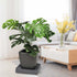 files/917010-support-roulant-pour-plantes-carre-situation-web.jpg