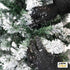 files/9188_sapin_enneige_vert_deploiement_web.jpg