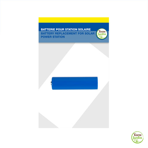 BATTERIE DE RECHANGE POUR STATION SOLAIRE (1)