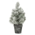 files/9923-mini-sapin-enneige-en-pot-packshot-web.jpg