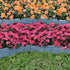 files/bordures-de-jardin-imitation-pierre-par-10-2764-web-3_29d2107e-eebd-478a-a247-3e184a583030.jpg