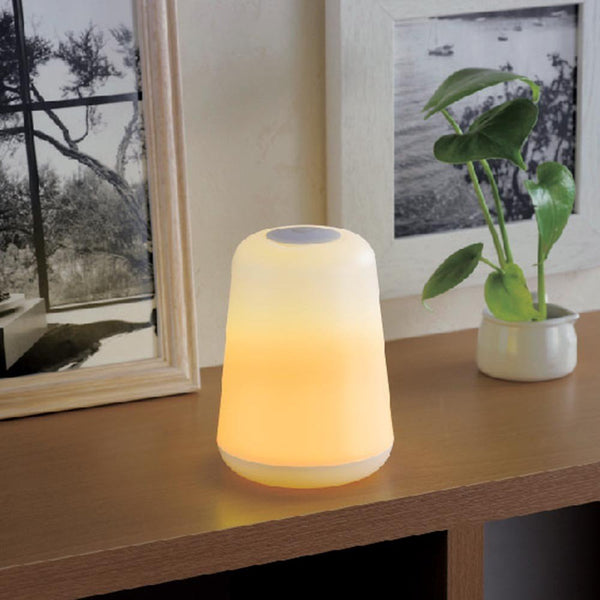 LAMPE D'AMBIANCE 2 EN 1 (5)