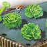 files/toile-de-paillage-verte-15-metres-2191-web-2.jpg