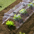 files/tunnel-de-forcage-rigide-transparent-3312-web-1_28017371-44c2-41f1-b18c-08eb7ff5d825.jpg