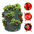 products/2937_Planteuse_a_fraises_1_2_situation_avec_fraises_pourrie.jpg