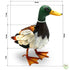 products/6552_CANARD_METAL_dimensionsTJ.jpg