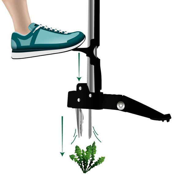 DÉSHERBEUR MÉCANIQUE (4)