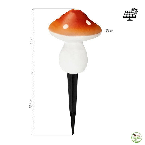 LAMPES CHAMPIGNONS SOLAIRES (2)