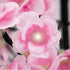 products/9491_fleur-cerisier-zoom-allume-web.jpg